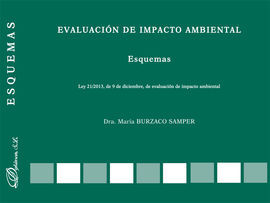 EVALUACIÓN DE IMPACTO AMBIENTAL. ESQUEMAS