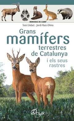 GRANS MAMÍFERS TERRESTRES DE CATALUNYA I ELS SEUS RASTRES