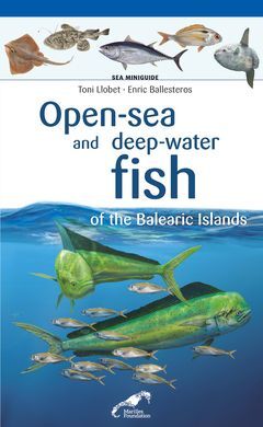OPEN-SEA AND DEEP-WATER FISH OF THE BALEARIC ISLAN