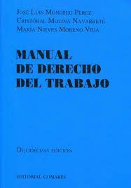 MANUAL DE DERECHO DEL TRABAJO (12Âª ED.)