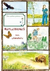 REFLEXIONES DEL CAMINANTE. EL PLACER DE ESCRIBIR