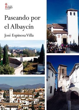 PASEANDO POR EL ALBAYCIN