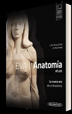 EVA. ANATOMÍA. ATLAS