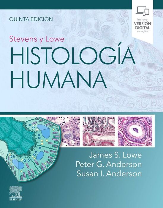 STEVENS Y LOWE.HISTOLOGÍA HUMANA - 5º ED. 2020