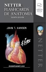 FLASHCARDS DE ANATOMIA