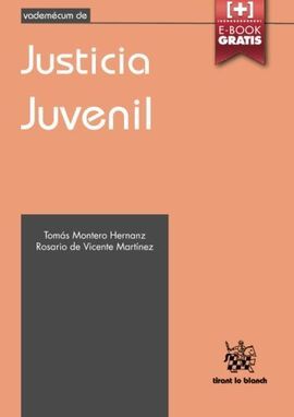 JUSTICIA JUVENIL VADEMÉCUM