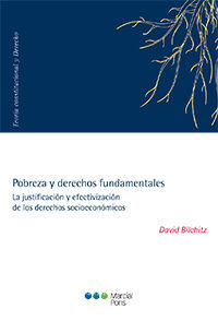 POBREZA Y DERECHOS FUNDAMENTALES: LA JUSTIFICACION Y EFECTIVIZACION DE LOS DERECHOS SOCIOECONOMICOS