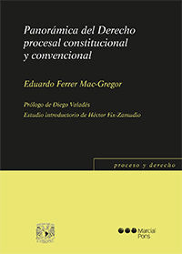 PANORAMICA DEL DERECHO PROCESAL CONSTITUCIONAL Y CONVENCIONAL
