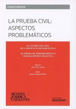 LA PRUEBA CIVIL: ASPECTOS PROBLEMÁTICOS