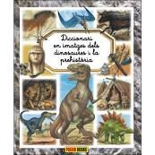 DICCIONARI EN IMATGES DELS DINOSAURES