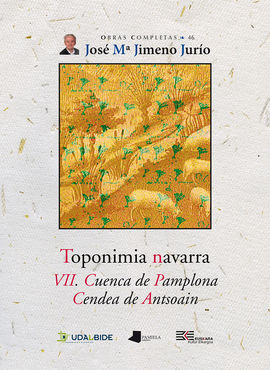 TOPONIMIA NAVARRA. VII. CUENCA DE PAMPLONA. CENDEA DE ANTSOAIN