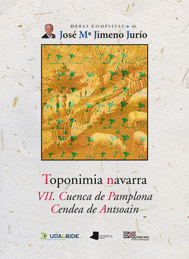 TOPONIMIA NAVARRA. VII. CUENCA DE PAMPLONA. CENDEA DE ANTSOAIN