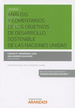 ANALISIS DE COMENTARIOS DE LOS OBJETIVOS DE DESARROLLO SOSTENIBLE