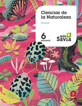 CIENCIAS DE LA NATURALEZA. 6 PRIMARIA. MÁS SAVIA. CANARIAS