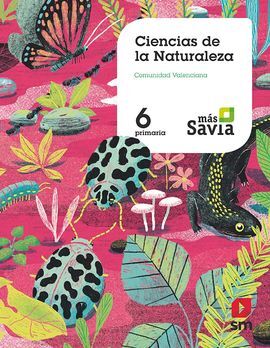 6º EP CIENCIAS DE LA NATURALEZA ( VAL) MÁS SA 19