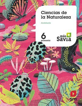 6 EP. NATURALES (AND) MÁS SA 19