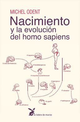 NACIMIENTO Y LA EVOLUCIÓN DEL HOMO SAPIENS