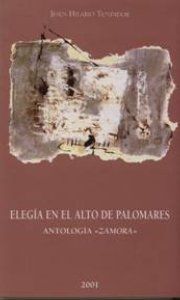ELEGIA EN EL ALTO DE PALOMARES