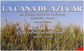 LA CAÑA DE AZÚCAR