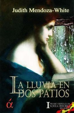 LA LLUVIA EN DOS PATIOS