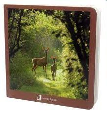 ANIMALES DEL BOSQUE CARTON