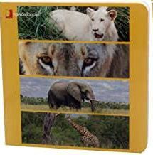 ANIMALES SALVAJES EN CARTON