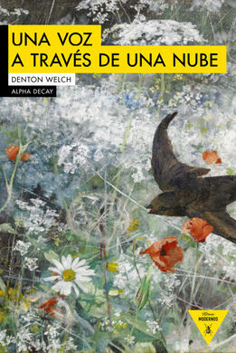 UNA VOZ A TRAVES DE UNA NUBE