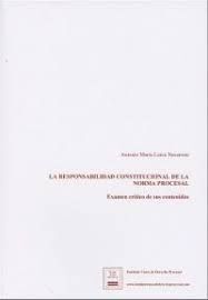 RESPONSABILIDAD CONSTITUCIONAL DE LA NORMA PROCESA