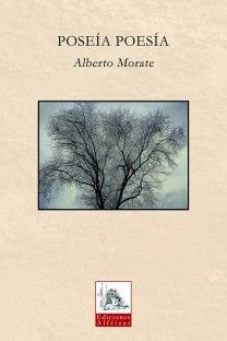 POSEÍA POESÍA