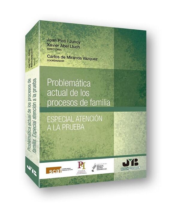 PROBLEMÁTICA ACTUAL DE LOS PROCESOS DE FAMILIA