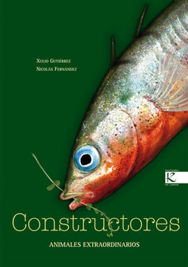 CONSTRUCTORES