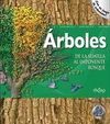 ÁRBOLES. DE LA SEMILLA AL IMPONENTE BOSQUE