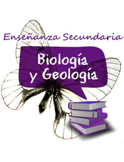 CUERPO DE PROFESORES DE ENSEÑANZA SECUNDARIA. BIOLOGÍA Y GEOLOGÍA (PACK 4 VOLS)