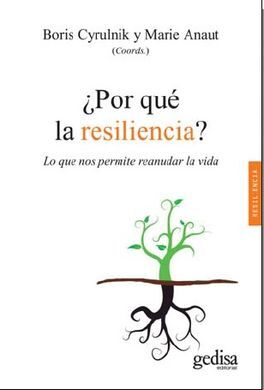 ¿POR QUÉ LA RESILIENCIA?