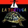 LA TORTUGA MEDITERRÀNIA
