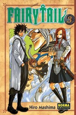 FAIRY TAIL 3