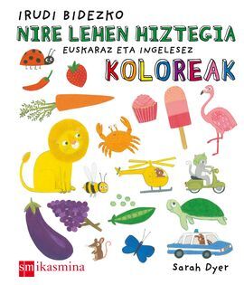 IRUDI BIDEZKO NIRE LEHEN HIZTEGIA: KOLOR