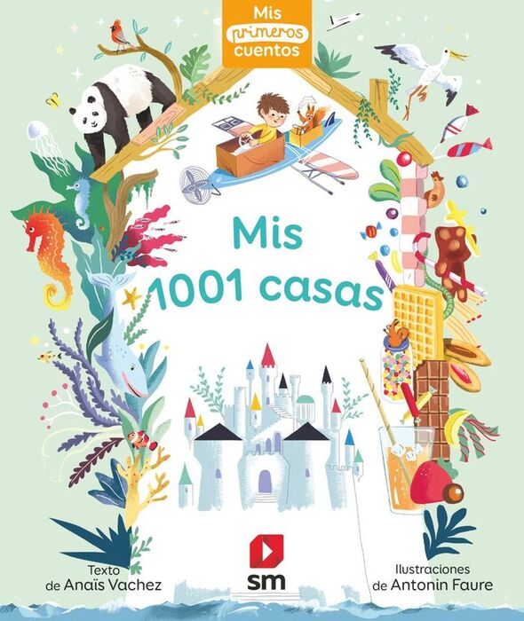 MIS 1001 CASAS