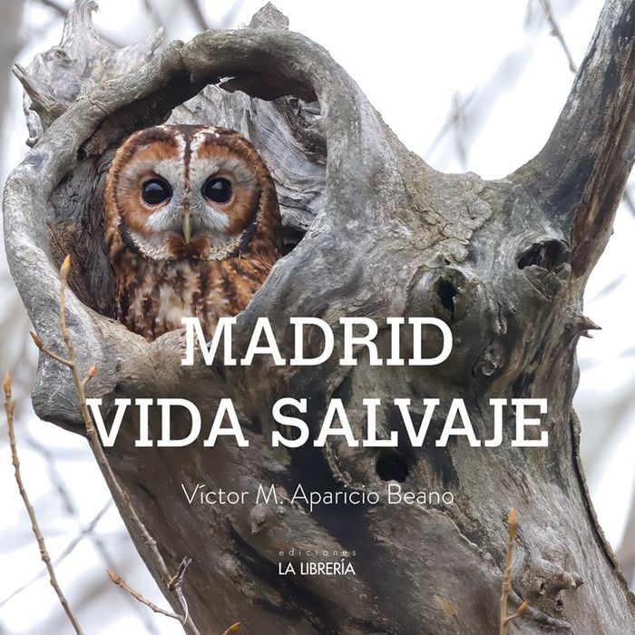 MADRID, VIDA SALVAJE