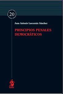 PRINCIPIOS PENALES DEMOCRÁTICOS