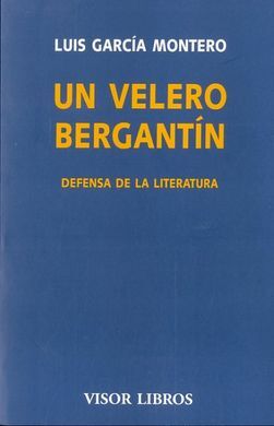 UN VELERO BERGANTÍN