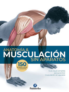 ANATOMÍA Y MUSCULACIÓN SIN APARATOS