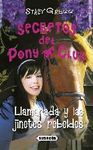 SECRETOS DEL PONY CLUB. 10: LLAMARADA Y LAS JINETES SALVAJES