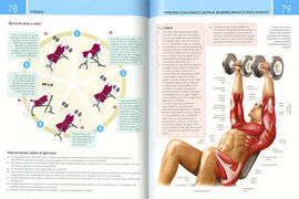 FITNESS. ANATOMIA Y EJERCICIOS