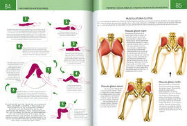 YOGA. ANATOMIA Y POSTURAS