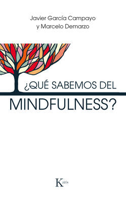 QUÉ SABEMOS DEL MINDFULNESS?