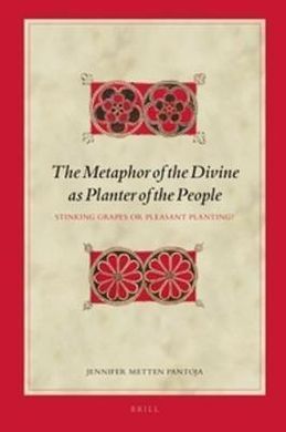BIBLICAL INTERPRETATIONS SERIES - VOL. 155