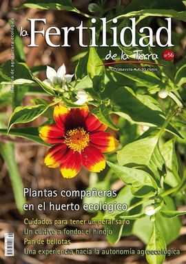FERTILIDAD DE LA TIERRA Nº 56 PLANTAS COMPAÑERAS EN EL HUERTO ECOLÓGICO