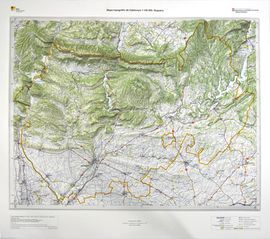 MAPA TOPOGRAFIC RELLEU NOGUERA
