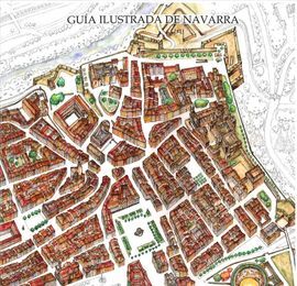 CAJA GUÍA ILUSTRADA DE NAVARRA + GUÍA ILUSTRADA PAMPLONA